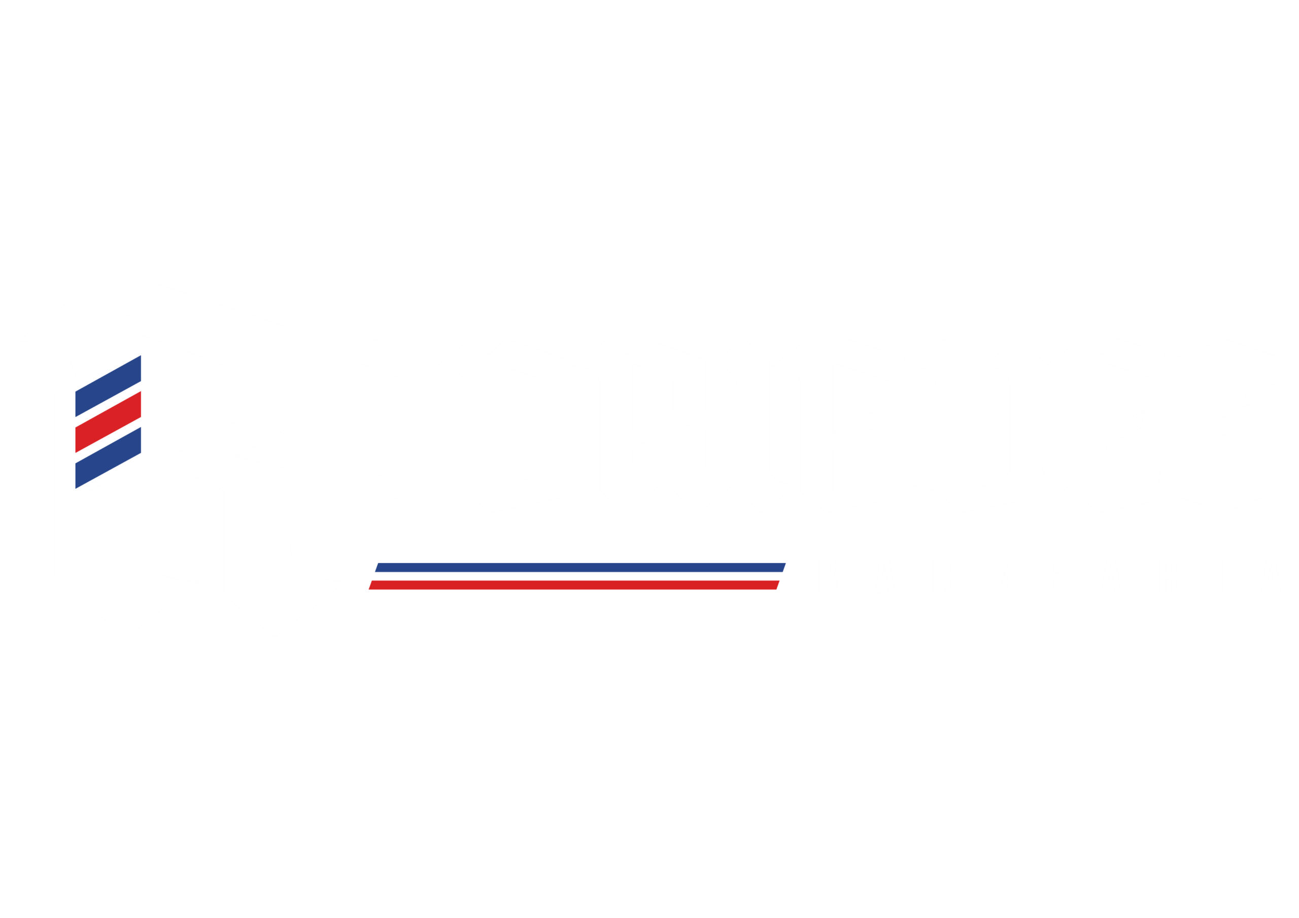 LOGO - RODRIGUES BARBEARIA